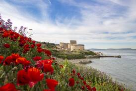 Lest we forget: Gallipoli's history and myths revealed