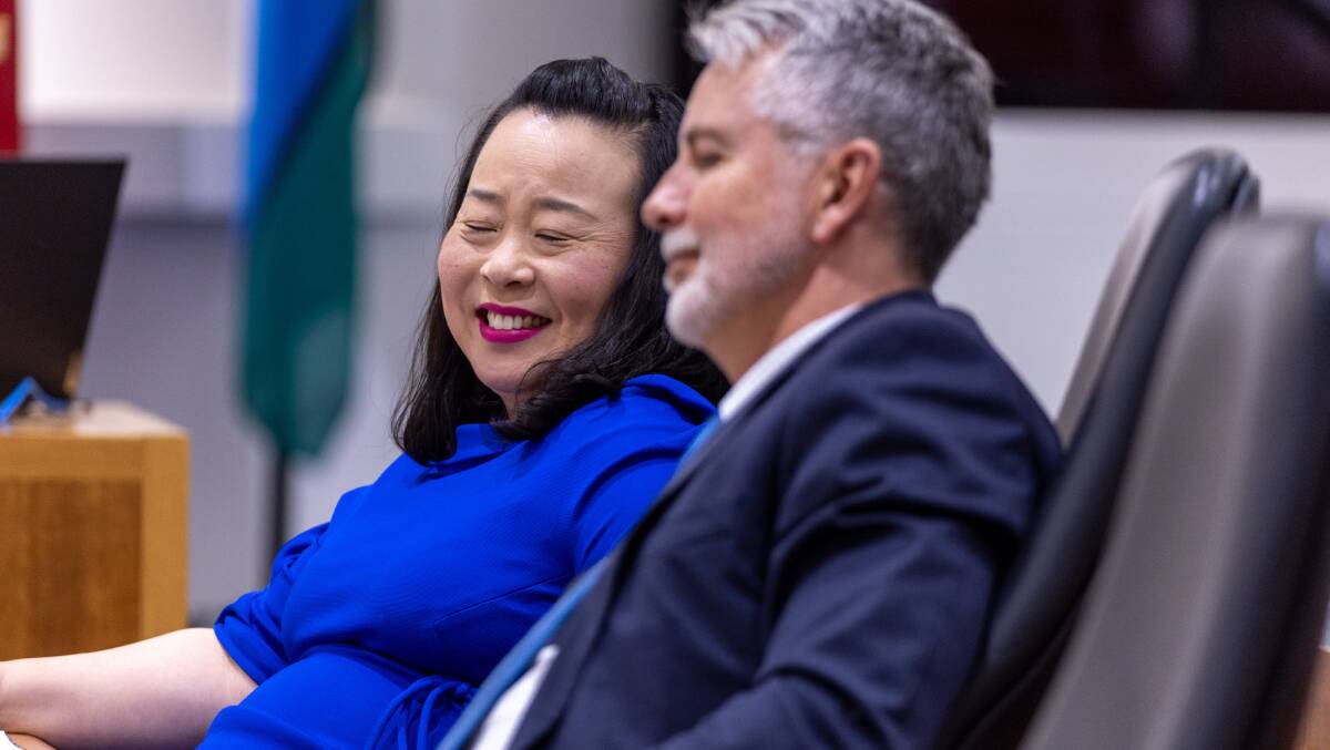 Opposition Leader Elizabeth Lee and deputy opposition leader Jeremy Hanson. Picture by Gary Ramage