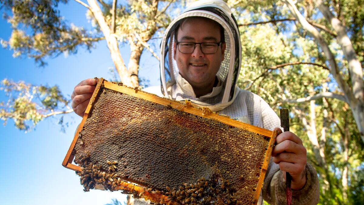 Cormac Farrell is the head beekeeper at Australian Parliament House. Picture by Elesa Kurtz.